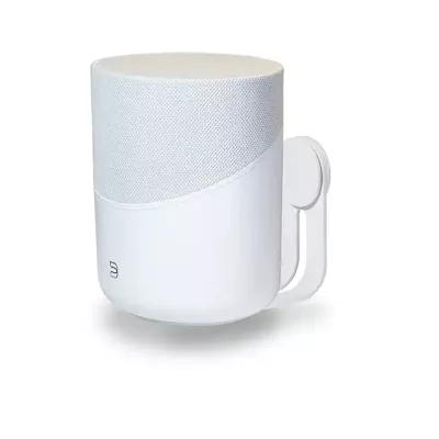 Bluesound WM230 a Ginevra | Digistore.ch